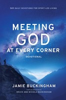 Meeting God At Every Corner (Paperback)