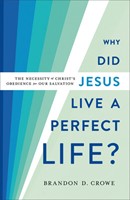 Why Did Jesus Live a Perfect Life? (Paperback)