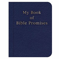 My Book of Bible Promises, Blue (Imitation Leather)