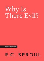 Why Is There Evil? (Paperback)