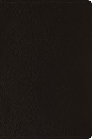 ESV Compact Bible (Buffalo Leather, Deep Brown) (Imitation Leather)