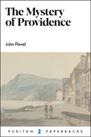 The Mystery of Providence (Paperback)