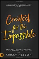 Created for the Impossible (Paperback)