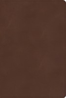 CSB Rainbow Study Bible, Brown LeatherTouch, Indexed (Imitation Leather)