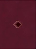 CSB Day-by-Day Chronological Bible, Burgundy LeatherTouch (Imitation Leather)
