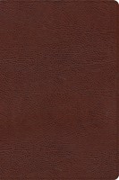 CSB Large Print Thinline Bible, Brown, Indexed (Bonded Leather)