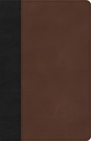 KJV Thinline Bible, Black/Brown LeatherTouch (Imitation Leather)