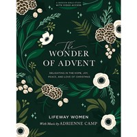 The Wonder of Advent (Paperback)