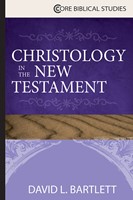 Christology in the New Testament (Paperback)