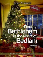 Finding Bethlehem in the Midst of Bedlam (Paperback)