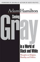 Seeing Gray in a World of Black and White (Paperback)