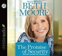 The Promise Of Security Audio Book (CD-Audio)