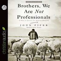Brothers, We Are Not Professionals (CD-Audio)