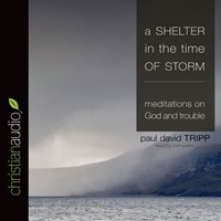 Shelter In The Time Of Storm Audio Book, A (CD-Audio)