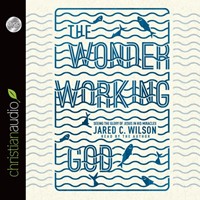 The Wonder-Working God Audio Book
