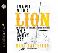 In A Pit With A Lion On A Snowy Day