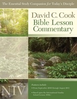 NIV Bible Lesson Commentary 2010-11 (Paperback)