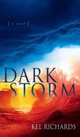 Dark Storm (Paperback)