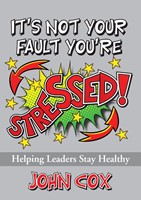 It's Not Your Fault You're Stressed (Paperback)