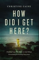 How Did I Get Here? (Paperback)