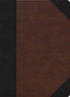 CSB Verse-by-Verse Reference Bible, Black/Brown LeatherTouch (Imitation Leather)