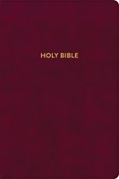 KJV Rainbow Study Bible, Burgundy LeatherTouch (Imitation Leather)