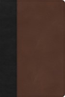 KJV Large Print Thinline Bible, Black/Brown LeatherTouch (Imitation Leather)