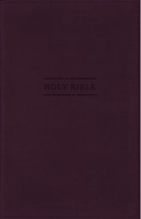 NRSVue Gift Bible Leathersoft, Burgundy, Comfort Print (Imitation Leather)