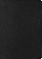 ESV New Testament with Psalms and Proverbs (Imitation Leather)