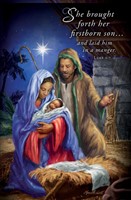 Her Firstborn Son Christmas Bulletin (pack of 100) (Bulletin)