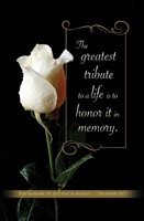 Greatest Tribute to Life Remembrance Bulletin (pack of 100) (Bulletin)