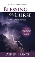 Blessing or Curse (Paperback)