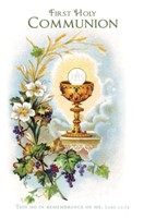 First Holy Communion Bulletin (pack of 100) (Bulletin)