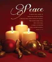 Peace Isaiah 11:1 Advent Week 2 Large Bulletin (pack of 100) (Bulletin)