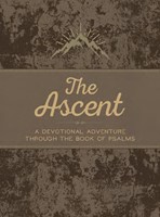 The Ascent (Imitation Leather)