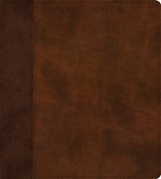 ESV Journaling Study Bible, Brown/Chestnut (Imitation Leather)