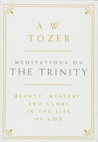 Meditations on the Trinity (Hard Cover)
