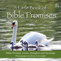 Little Book of Bible Promises, A (Hard Cover)