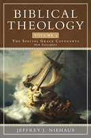 Biblical Theology Volume 3 (Paperback)