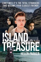 Island Treasure (Paperback)