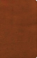 NASB Large Print Thinline Bible, Burnt Sienna Leathertouch (Imitation Leather)