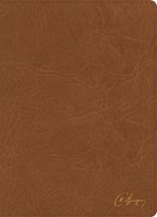 KJV Spurgeon Study Bible, Tan Leathertouch (Imitation Leather)