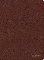 KJV Spurgeon Study Bible, Brown Bonded Leather (Bonded Leather)
