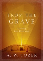 From the Grave (Paperback)