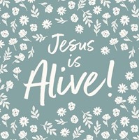 Easter Card 23 - Jesus is Alive (Cards)