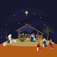 Nativity Night Christmas Cards (pack of 10) (Cards)