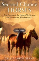 Second-Chance Horses (Paperback)