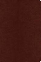 ESV Systematic Theology Study Bible (Imitation Leather)