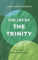The Joy of the Trinity