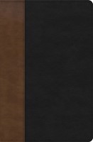 KJV Personal Size Giant Print Bible, Black/Brown, Indexed (Imitation Leather)